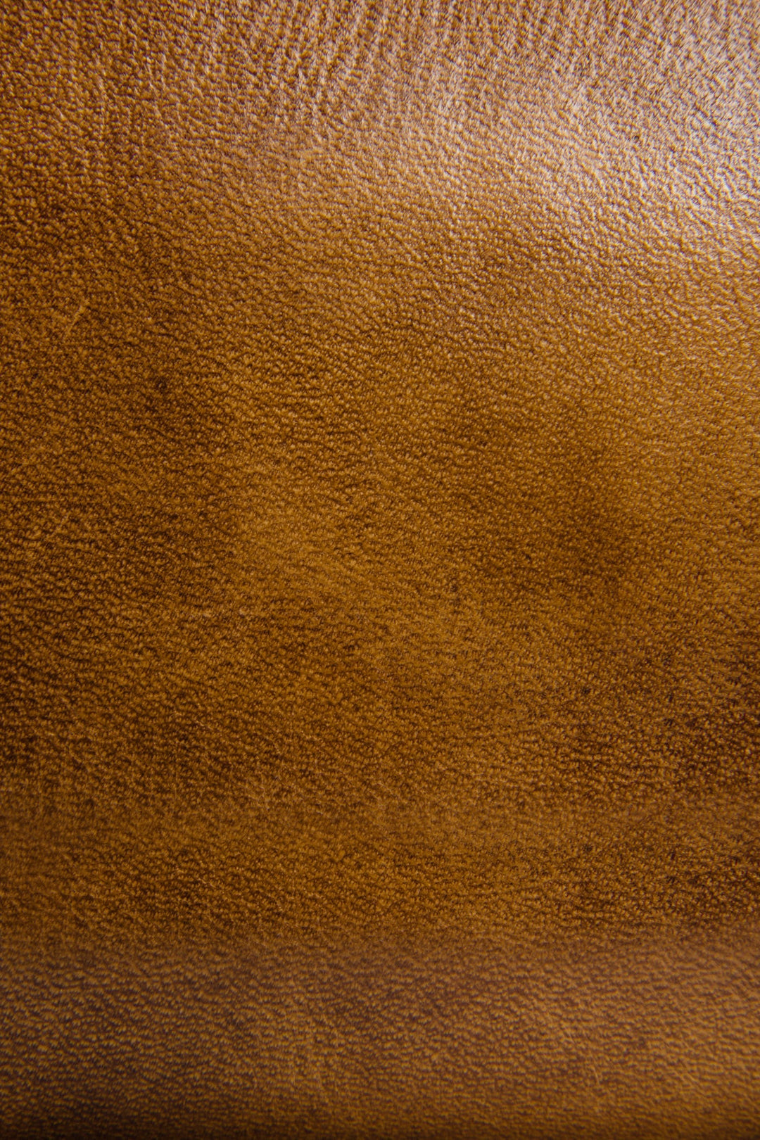 Melissa Beige Zip Wallet