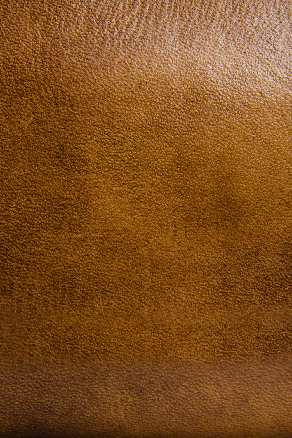 Melissa Beige Zip Wallet