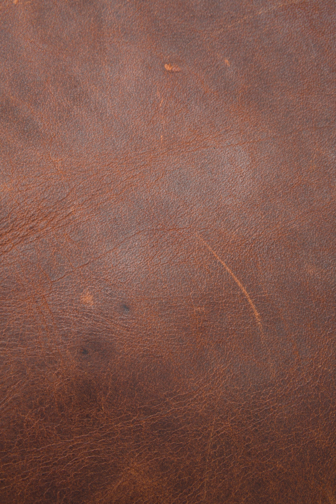 Logan Cognac Backpack