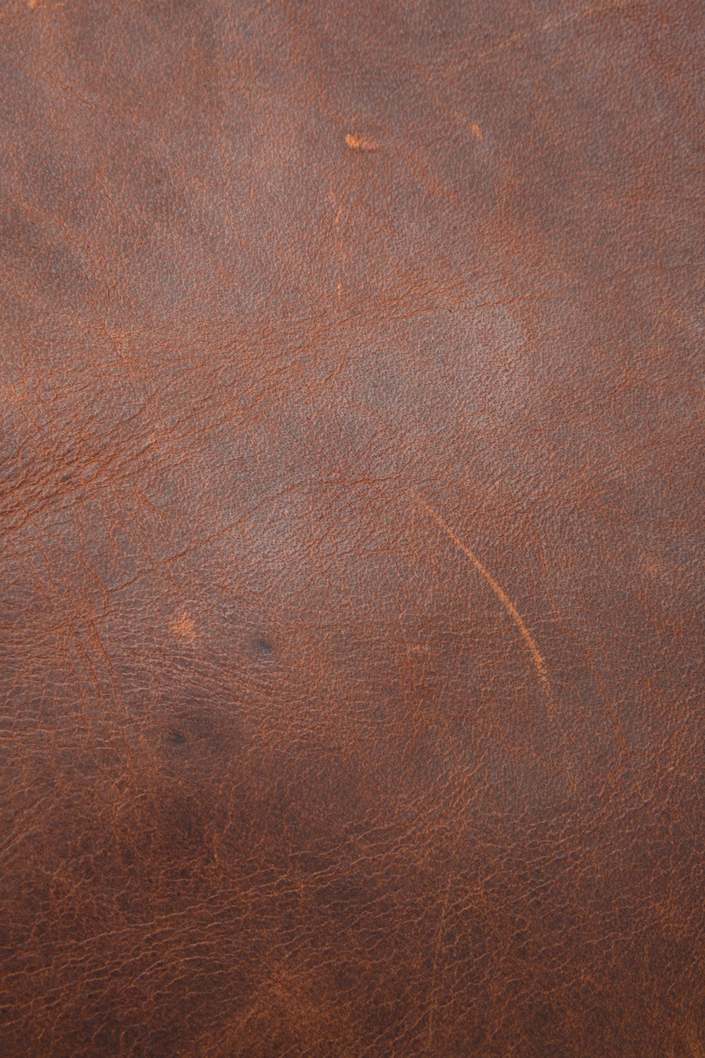 Logan Cognac Backpack