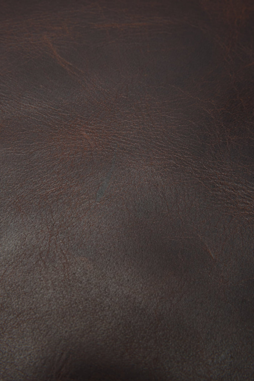 Logan Dark Brown Backpack