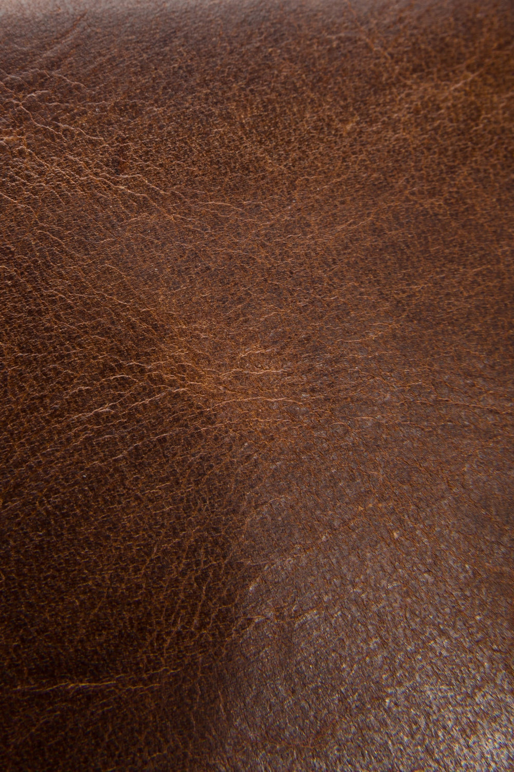 Logan Cognac Billfold